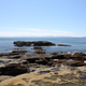 Illustration for article titled Pics from the (Ocean Floor): 2018-05-05 at Botanical Beach